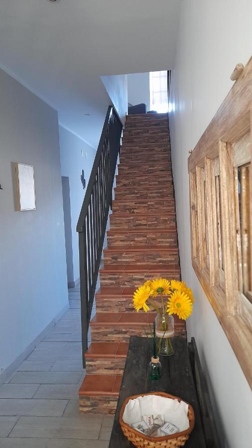 Casa 4P - Alojamento Local - Pura Paixao Por Penacova Villa Eksteriør billede