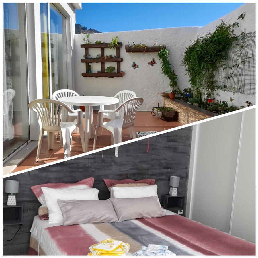 Casa 4P - Alojamento Local - Pura Paixao Por Penacova Villa Eksteriør billede