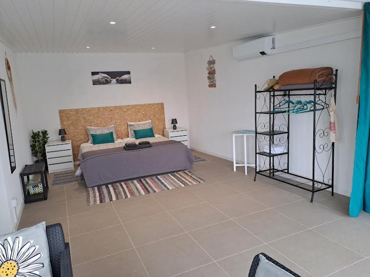Casa 4P - Alojamento Local - Pura Paixao Por Penacova Villa Eksteriør billede